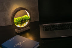 Round Wood Table Lamp with Preserved Moss | Scandinavian Night Light | Biophilic Decor