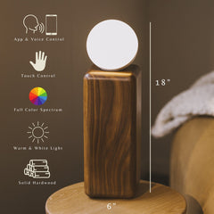 Smart Wooden Lamp, Minimalist Japandi Design, Voice & Touch Control