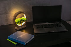 Round Wood Table Lamp with Preserved Moss | Scandinavian Night Light | Biophilic Decor