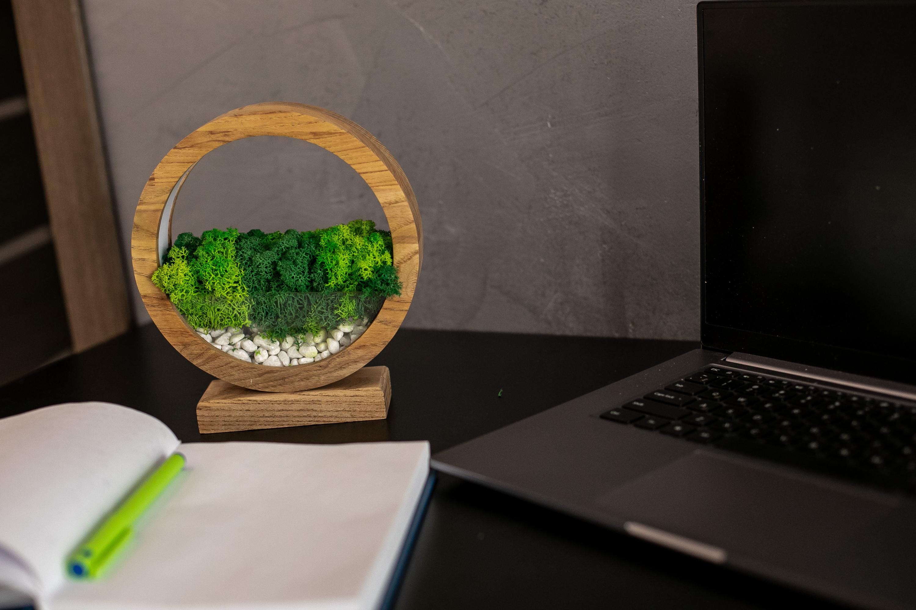 Round Wood Table Lamp with Preserved Moss | Scandinavian Night Light | Biophilic Decor