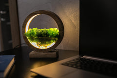 Round Wood Table Lamp with Preserved Moss | Scandinavian Night Light | Biophilic Decor